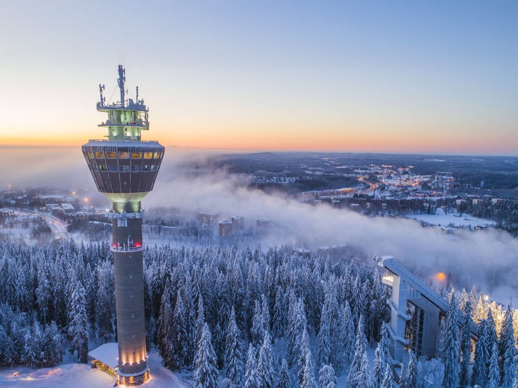 Arctic Winter Wonders