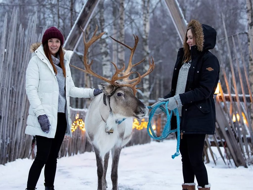 Reindeer Farm Experience (Arriving with Own Car)